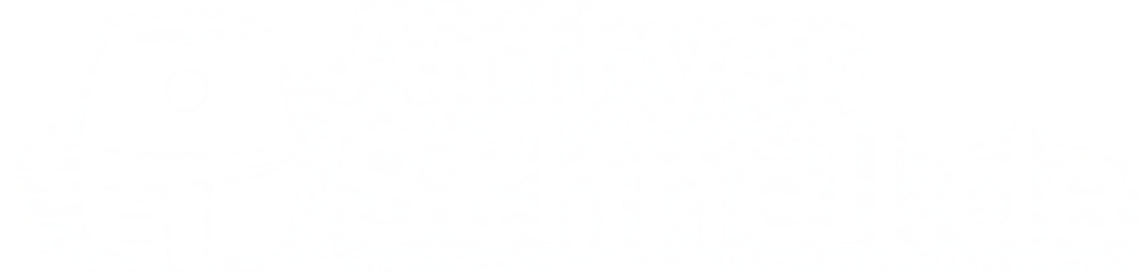 Airfryer Schnell De Logo White